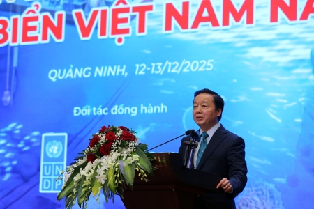 Tiếp tục hoàn thiện chính sách, cơ chế "kinh tế biển xanh"