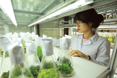 Đà Nẵng đầu tư nâng cấp Trung tâm Công nghệ sinh học theo chuẩn quốc tế