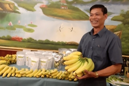 Hiệu quả từ Hợp tác xã liên kết sản xuất và tiêu thụ nông sản sạch Thanh Bình