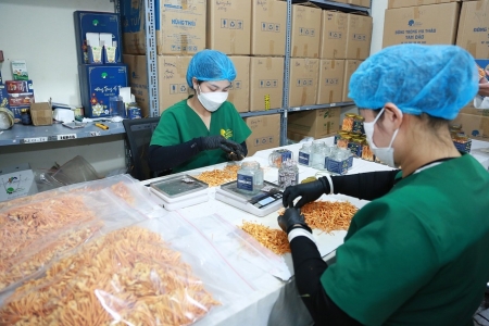 Hợp tác xã Nấm Tam Đảo góp sức xây dựng nông thôn mới