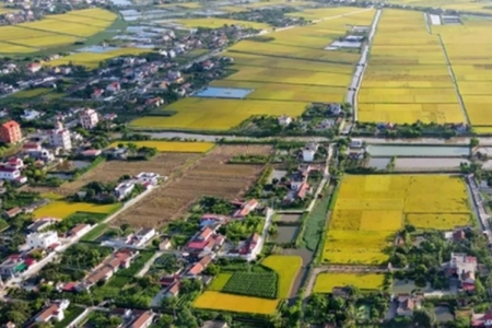 Mức thu tiền sử dụng đất khi chuyển đất nông nghiệp sang đất ở từ 1/1/2026