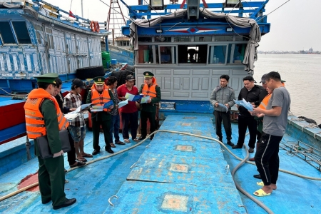 Đà Nẵng: Bộ đội Biên phòng xử phạt 20 chủ phương tiện vi phạm IUU