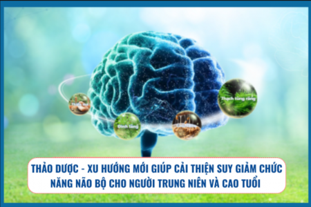Thảo dược - Xu hướng mới giúp cải thiện suy giảm chức năng não bộ cho người trung niên và cao tuổi