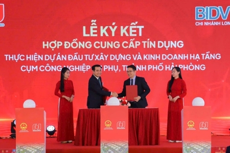 Công ty CP Đầu tư Newland khởi công dự án đầu tư hạ tầng cụm công nghiệp An Phụ