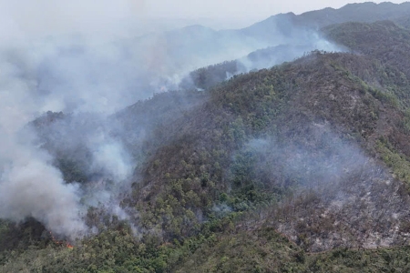 Bắc Ninh: Nâng cao hiệu lực, hiệu quả quản lý nhà nước về phòng cháy, chữa cháy rừng