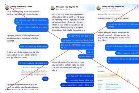 Gia tăng chiêu trò lừa đảo mua vé máy bay trực tuyến dịp Tết Nguyên đán