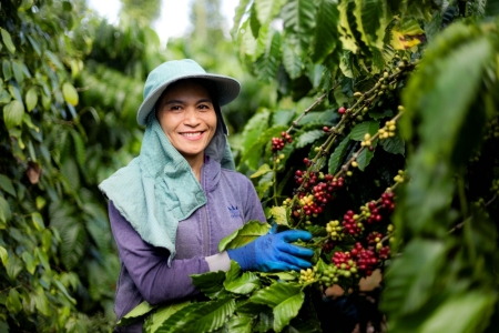 Kinh tế tuần hoàn – Trụ cột thúc đẩy chuyển đổi xanh tại Việt Nam