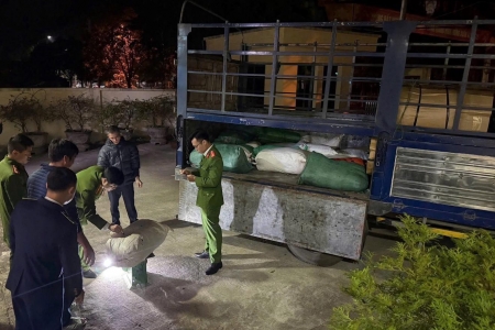 Sơn La: Phát hiện, bắt giữ hơn 2 tấn nội tạng động vật không rõ nguồn gốc