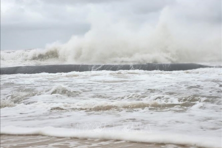 Yêu cầu các tỉnh ven biển chủ động ứng phó gió mạnh do không khí lạnh