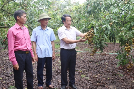 Bắc Ninh: Quy định hỗ trợ về phát triển nông nghiệp, ngành nghề nông thôn giai đoạn 2026-2030