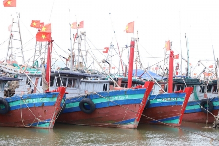 Ninh Bình quyết liệt triển khai chỉ đạo về chống khai thác IUU