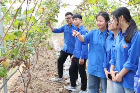 Bắc Ninh: Lan tỏa tinh thần khởi nghiệp sáng tạo trong đoàn viên, thanh niên