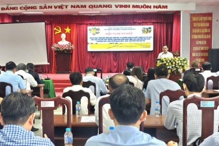Cần Thơ quyết liệt triển khai Đề án 1 triệu ha lúa, hướng tới sản xuất xanh, phát thải thấp bền vững