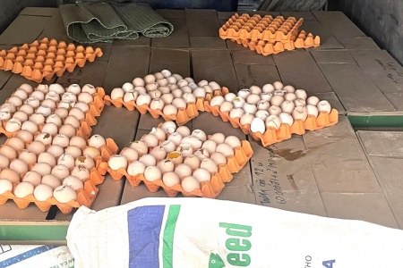 Cao Bằng phát hiện vụ vận chuyển hơn 5.300 quả trứng gà không rõ nguồn gốc