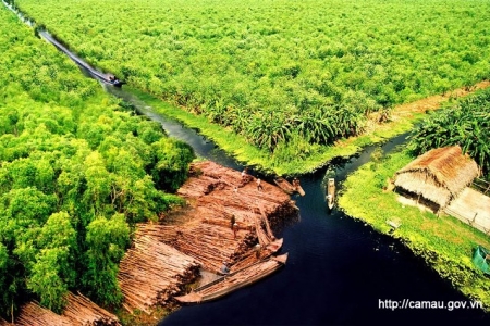 Cà Mau: Phê duyệt Đề án du lịch sinh thái Vườn Quốc gia U Minh Hạ đến năm 2030