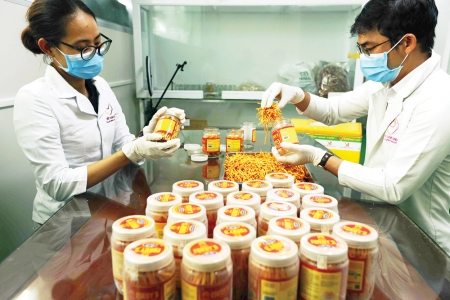 Nấm Hòa Long - Mô hình nông nghiệp công nghệ cao