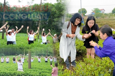 Thái Nguyên: Hợp tác xã trà Cao Sơn tiên phong vừa làm chè hữu cơ vừa làm du lịch