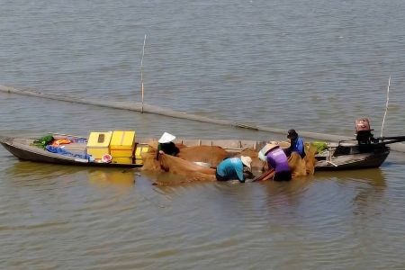 Quy định quản lý các cơ sở sản xuất, kinh doanh nông lâm thủy sản