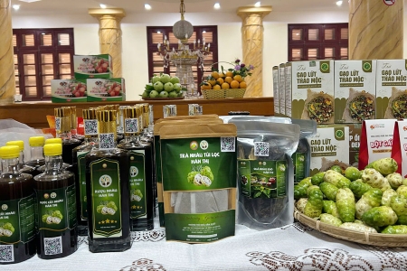 Bắc Ninh có số lượng sản phẩm OCOP thuộc nhóm đầu trong cả nước.