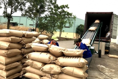 Đắk Lắk: Kim ngạch xuất nhập khẩu năm 2025 vượt mốc 3,6 tỷ USD, xác lập kỷ lục tăng trưởng mới