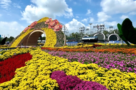 Đồng Tháp mở kênh tiếp nhận thông tin hỗ trợ du khách tham dự Festival Hoa– Kiểng Sa Đéc