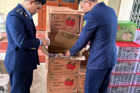 Lào Cai: Đội Quản lý thị trường số 4 tăng cường cao điểm chống buôn lậu, gian lận thương mại và hàng giả dịp Tết