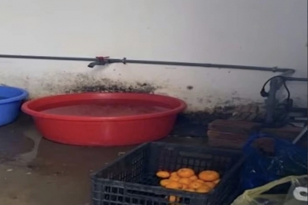 Hà Nội: Phát hiện loạt vi phạm trong cung cấp suất ăn bán trú cho học sinh