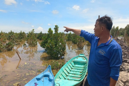 Tây Ninh quy định mức hỗ trợ khôi phục sản xuất vùng bị thiệt hại do thiên tai, dịch hại