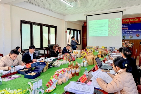 Lâm Đồng: Phân hạng và công nhận lại sản phẩm OCOP cấp tỉnh năm 2025