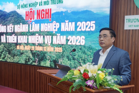 Lâm nghiệp trước ngưỡng tăng trưởng cao: Đòi hỏi bước chuyển mạnh về quản trị và chất lượng