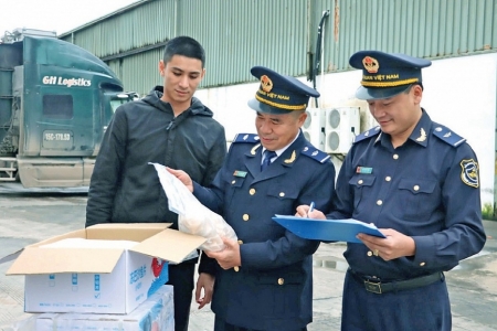 Hải quan khu vực VIII: Bắt giữ 446 vụ buôn lậu, vận chuyển trái phép hàng hoá