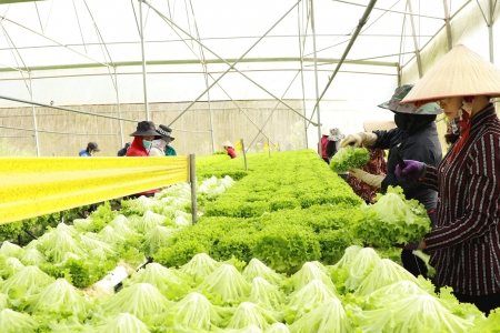 Ngành Nông nghiệp & Môi trường hoàn thành 9 chỉ tiêu, xuất khẩu nông lâm thủy sản đạt 70 tỷ USD