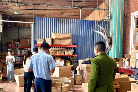 Ninh Bình thu giữ hơn 2.200 sản phẩm đồ chơi nhập lậu