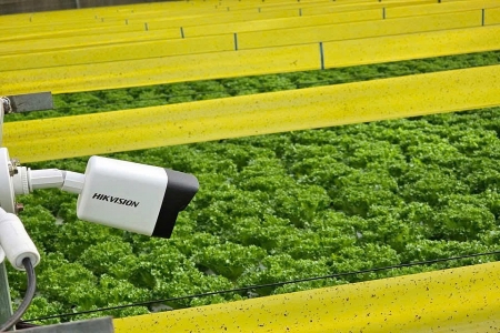 Lâm Đồng: Nông nghiệp công nghệ cao tiếp tục là động lực then chốt