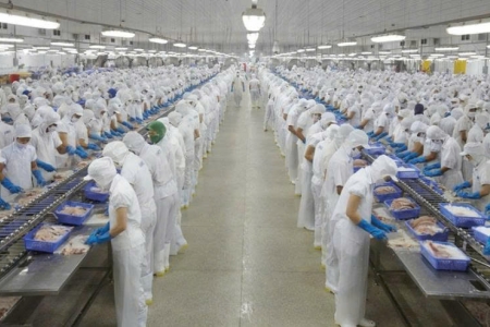 Vĩnh Hoàn (VHC) lên kế hoạch thoái vốn khỏi đơn vị xử lý, tiêu hủy rác thải không độc hại