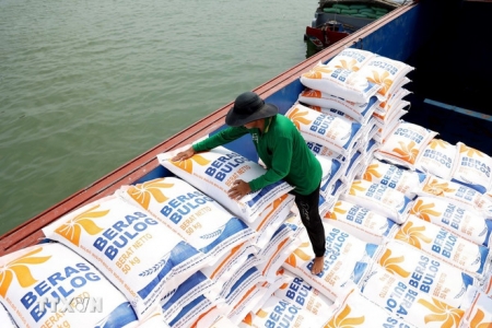 Chiến lược tái cấu trúc cho ngành gạo Việt Nam trong năm 2026