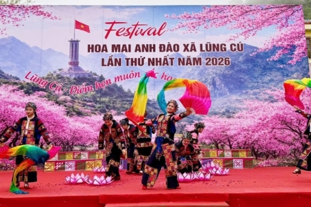 Tuyên Quang khai mạc Festival hoa mai anh đào lần thứ nhất năm 2026