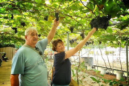 Du lịch Vĩnh Long khởi sắc, hút khách ngay từ những ngày đầu năm 2026