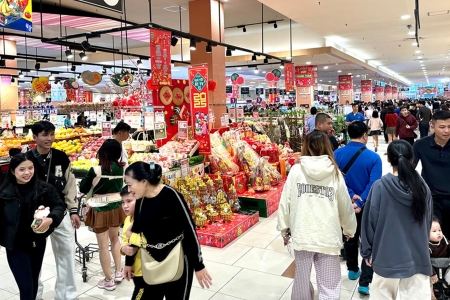 Thị trường nội địa 2026 – 2030: Sức bật từ già hóa dân số và tầng lớp trung lưu