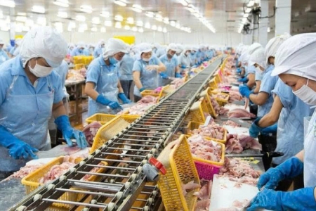 Chủ tịch Nam Việt (ANV) dự kiến thoái toàn bộ vốn tại công ty