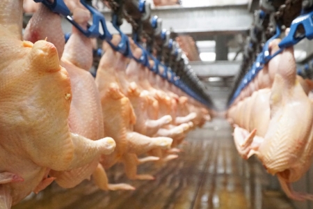 Thanh Hóa tăng cường quản lý kiểm dịch, bảo đảm an toàn thực phẩm dịp Tết và Lễ hội Xuân 2026