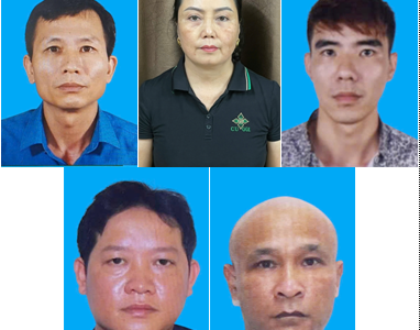 Công an TP. Hải Phòng khởi tố 9 bị can liên quan đường dây thu mua gần 130 tấn thịt lợn nhiễm bệnh