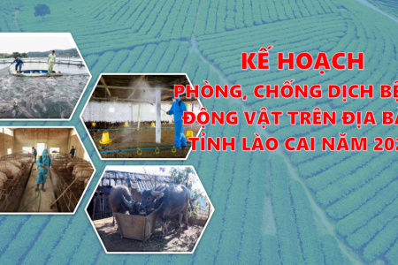 Lào Cai triển khai Kế hoạch phòng, chống dịch bệnh động vật năm 2026