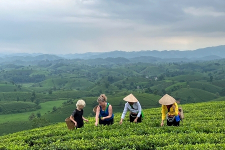 Du lịch Việt Nam đẩy mạnh xúc tiến, hướng tới tăng trưởng xanh năm 2026