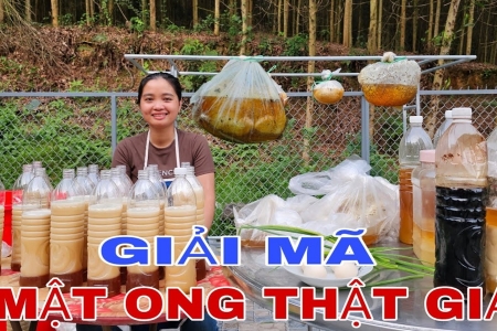 Góc khuất "Vàng lỏng" vùng cao: Hành trình giải mã ma trận mật ong giả và những cú lừa ngoạn mục