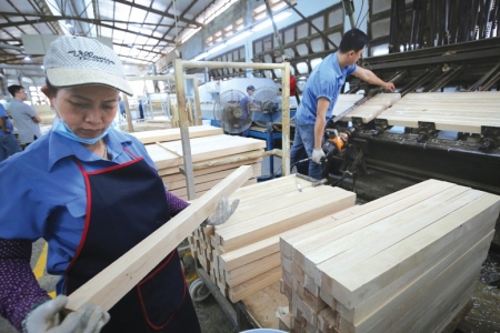 Ngành gỗ vượt khó, tạo giá trị kỷ lục