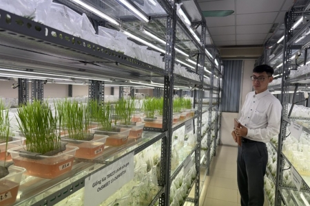 Khoa học công nghệ dẫn dắt nông nghiệp Việt Nam vượt “giới hạn” tăng trưởng truyền thống