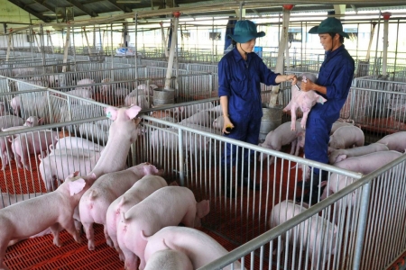 Sức cầu phục hồi nhờ điều chỉnh chính sách thuế, ngành nào sẽ được hưởng lợi?