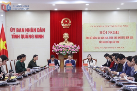 Các Ban chỉ đạo tỉnh Quảng Ninh triển khai nhiệm vụ năm 2026