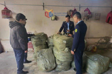 Phường Móng Cái 1: Cơ sở kinh doanh thực phẩm nhập lậu bị phạt 50 triệu đồng